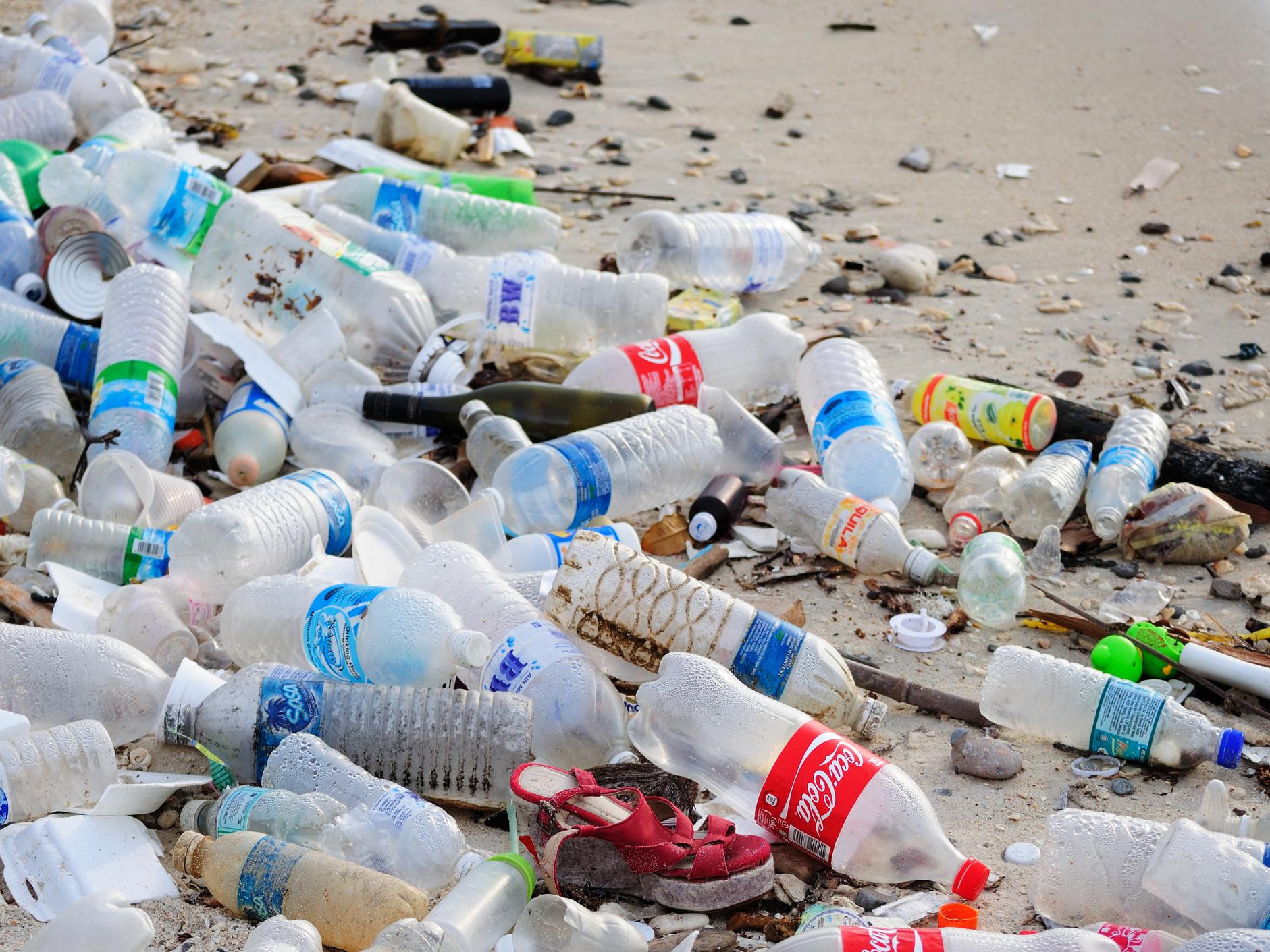 The committee's investigation found that 700,000 plastic bottles are littered every day