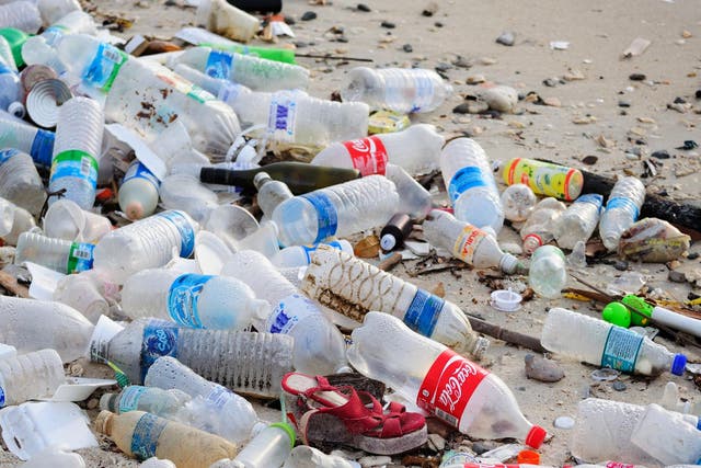 The committee's investigation found that 700,000 plastic bottles are littered every day