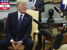 A year of Donald Trump's presidency, told in fake news