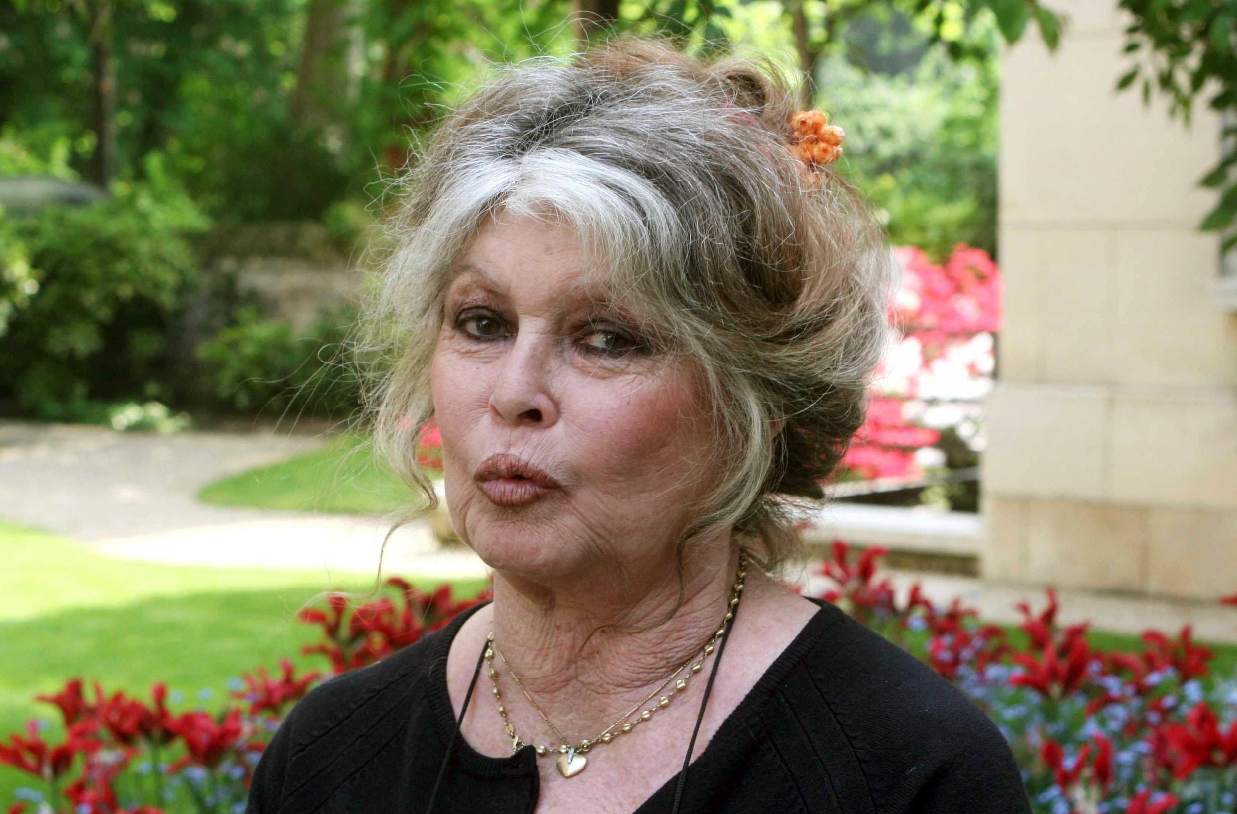 Brigitte Bardot calls #MeToo movement 'hypocritical and ridiculous' | The  Independent | The Independent