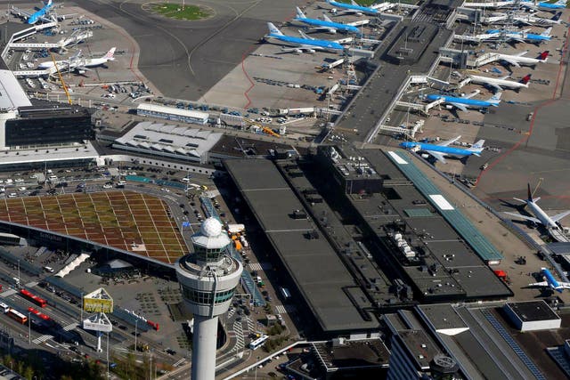 Staying put: KLM, the main airline at Amsterdam Airport, has cancelled more than 250 flights