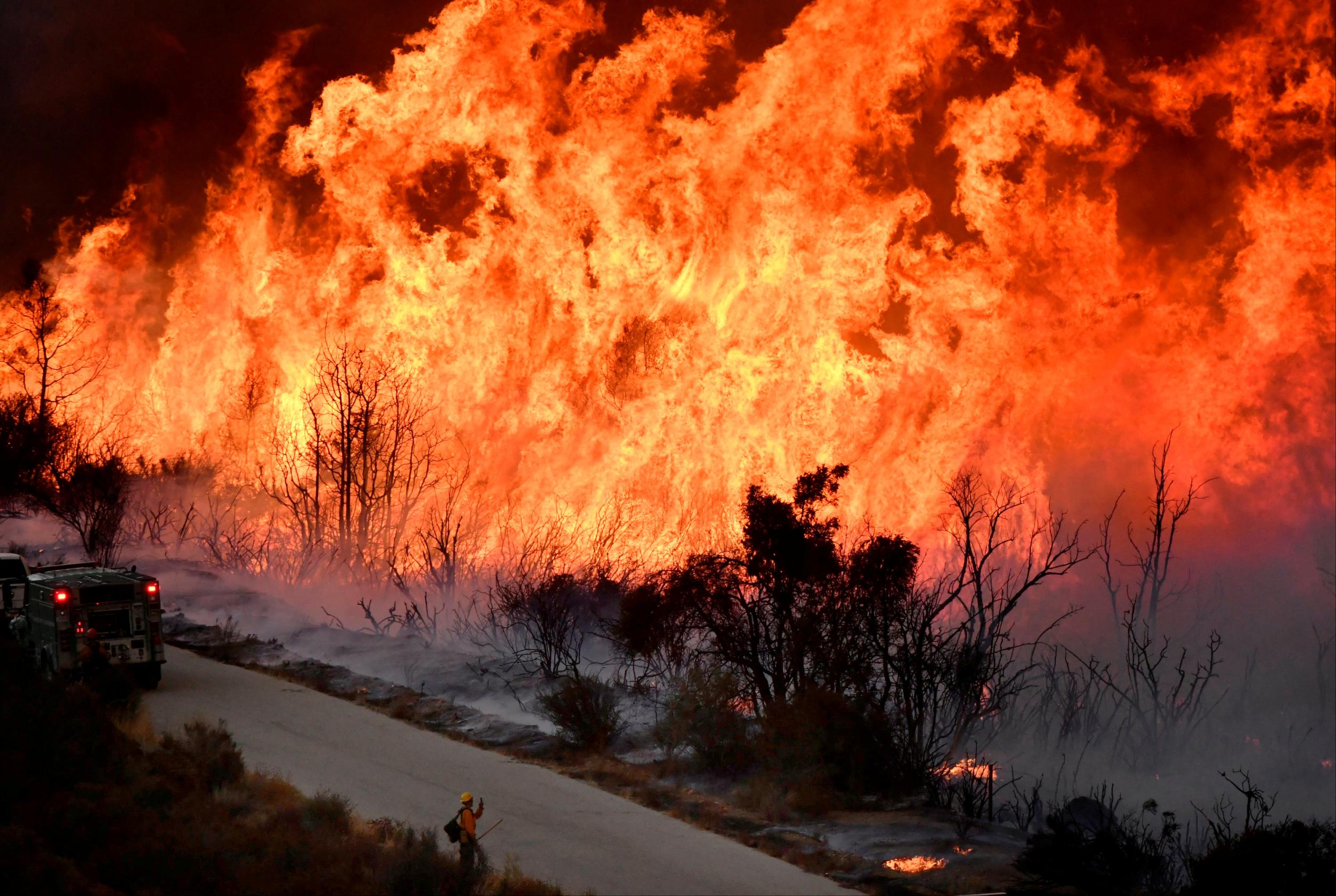 Rising temperatures due to global warming have been linked to devastating wildfires like the ones that ravaged California this year