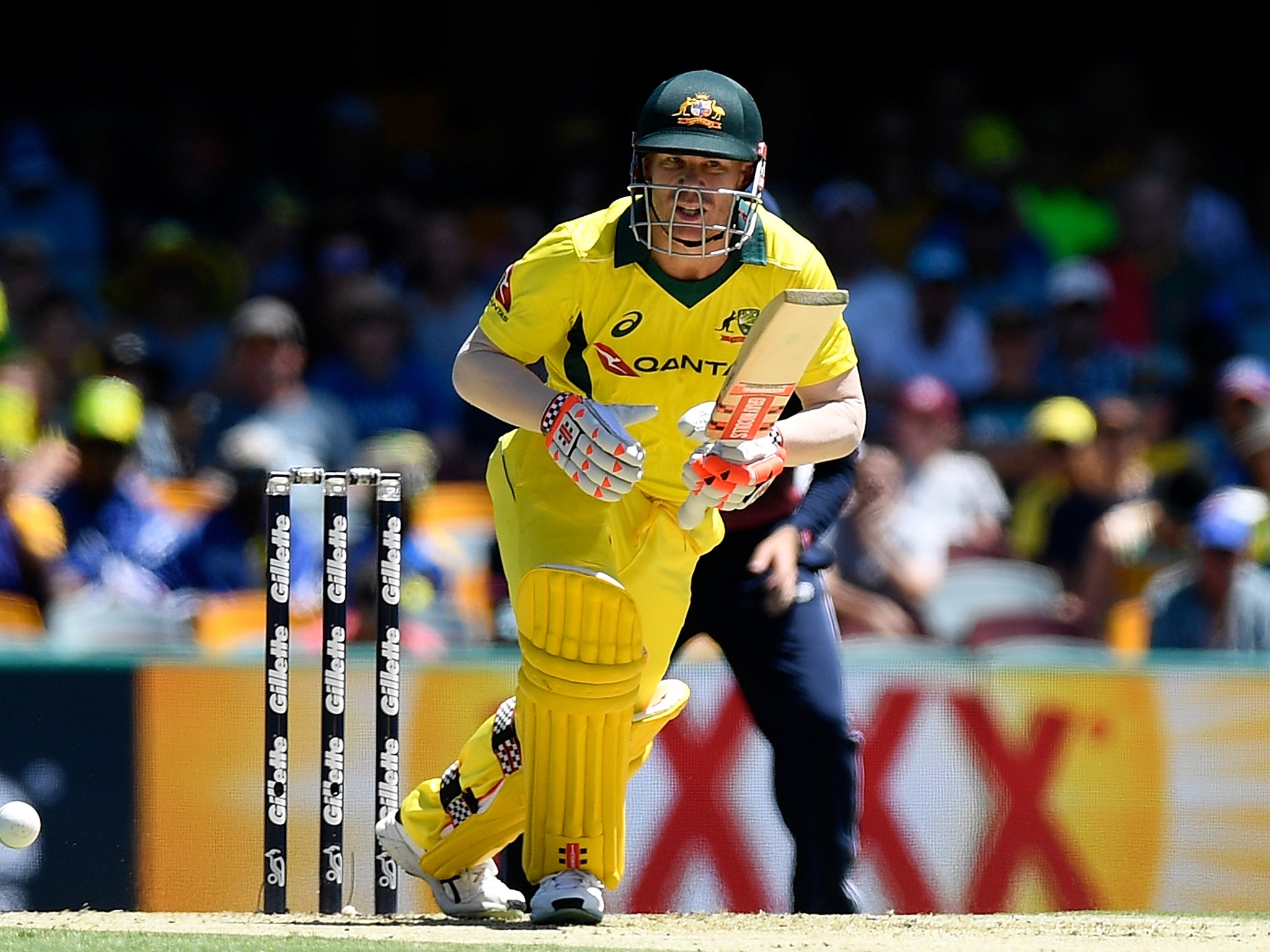 David Warner will captain Australia in the T20 series against England and New Zealand