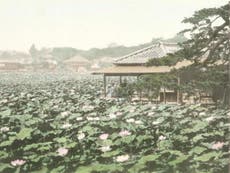 Amazing images of Tokyo before it was a city
