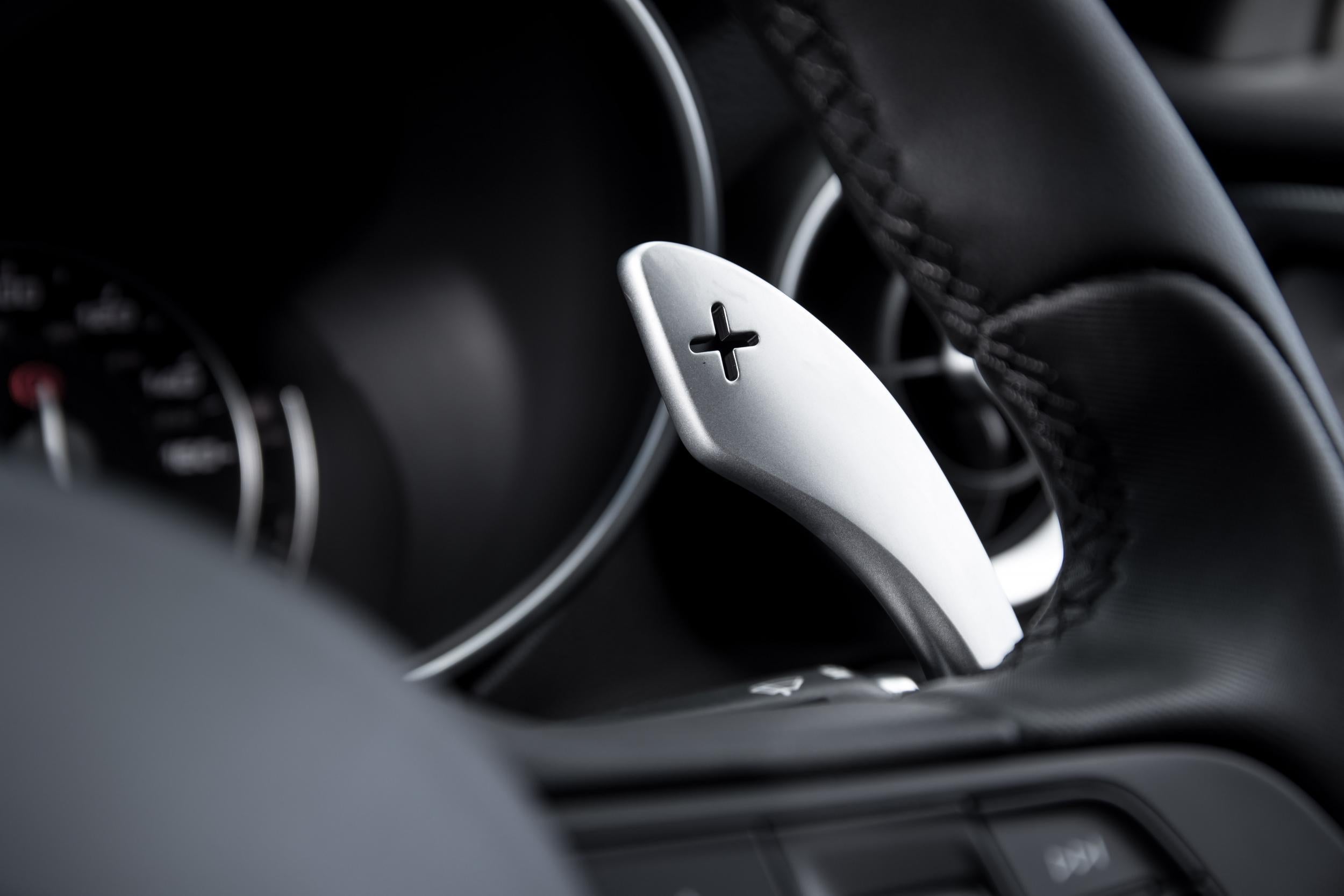 The gear change paddles: elegant but a bit pointless