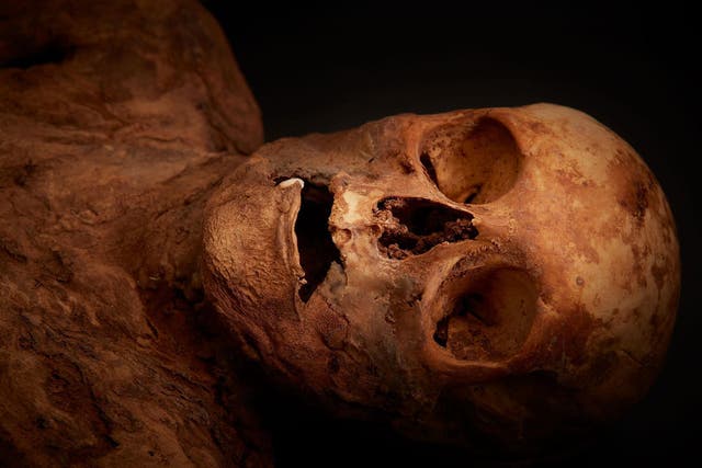 The mummified corpse was found under Basel’s Barfusser Church in 1975