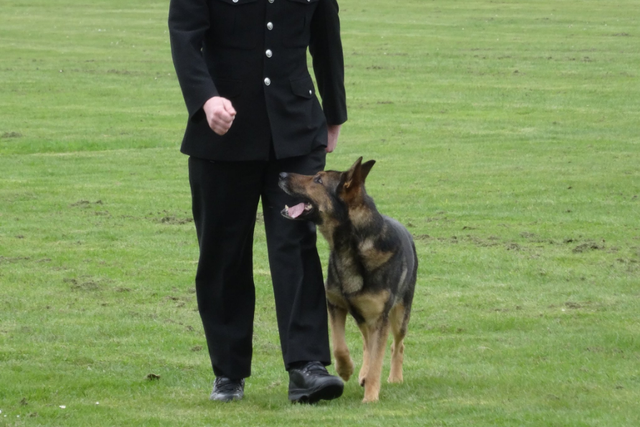 PC Dave Wardell with Finn