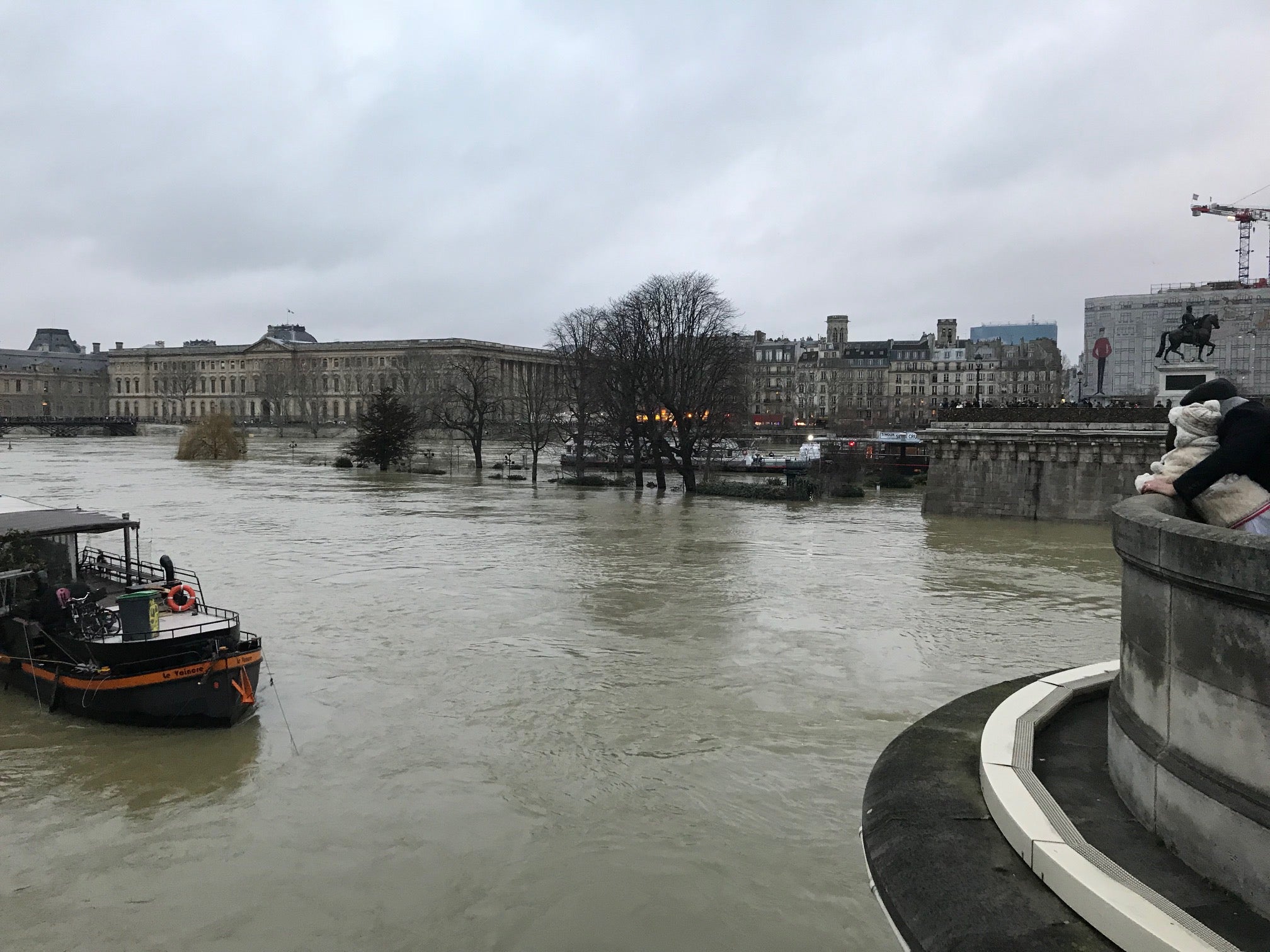 Trees along the river are half submerged