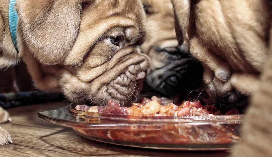 Butchers puppy clearance meat