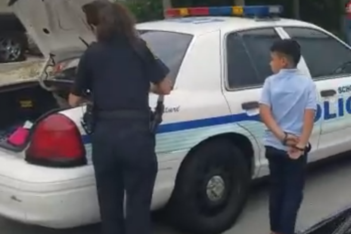 Young boy led away from Florida school in handcuffs after 'punching ...