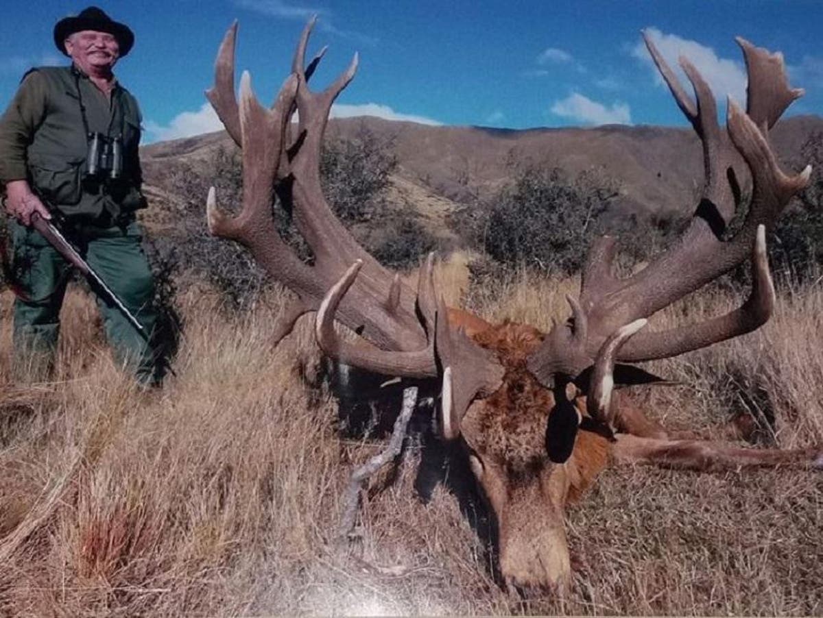 Big game hunter shot dead as he aimed at lion he wanted to kill | The  Independent | The Independent