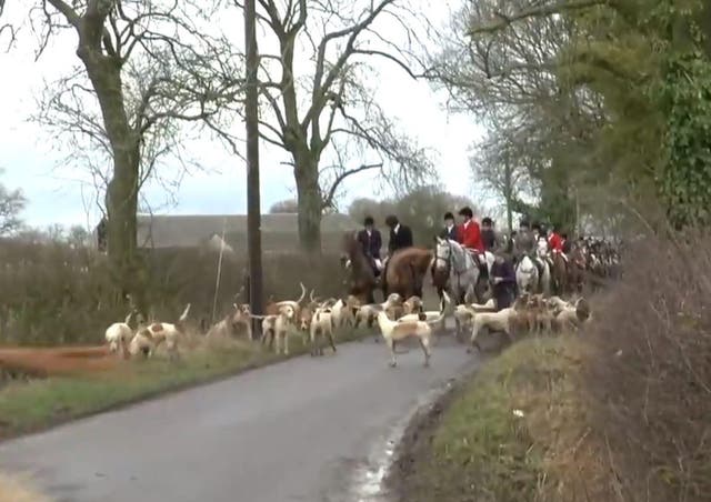 Beaufort Hunt