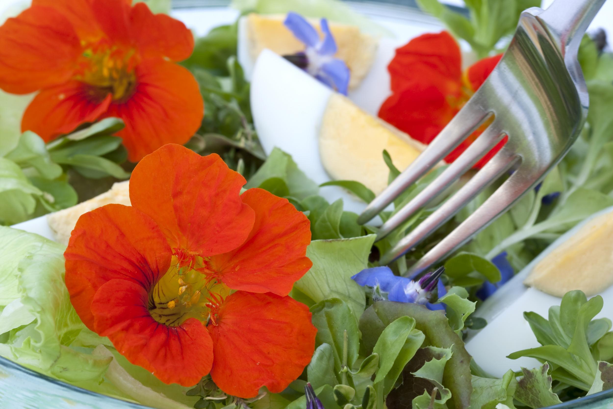 Be careful before picking your own 'edible' flowers