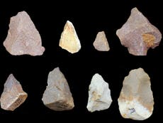 Mysterious Indian stone tools suggest early human exit from Africa