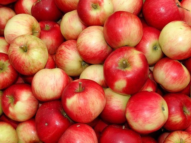Apples, seemingly uncontaminated