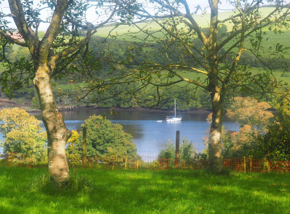 The view from Sharpham’s vineyard, overlooking the river Dart