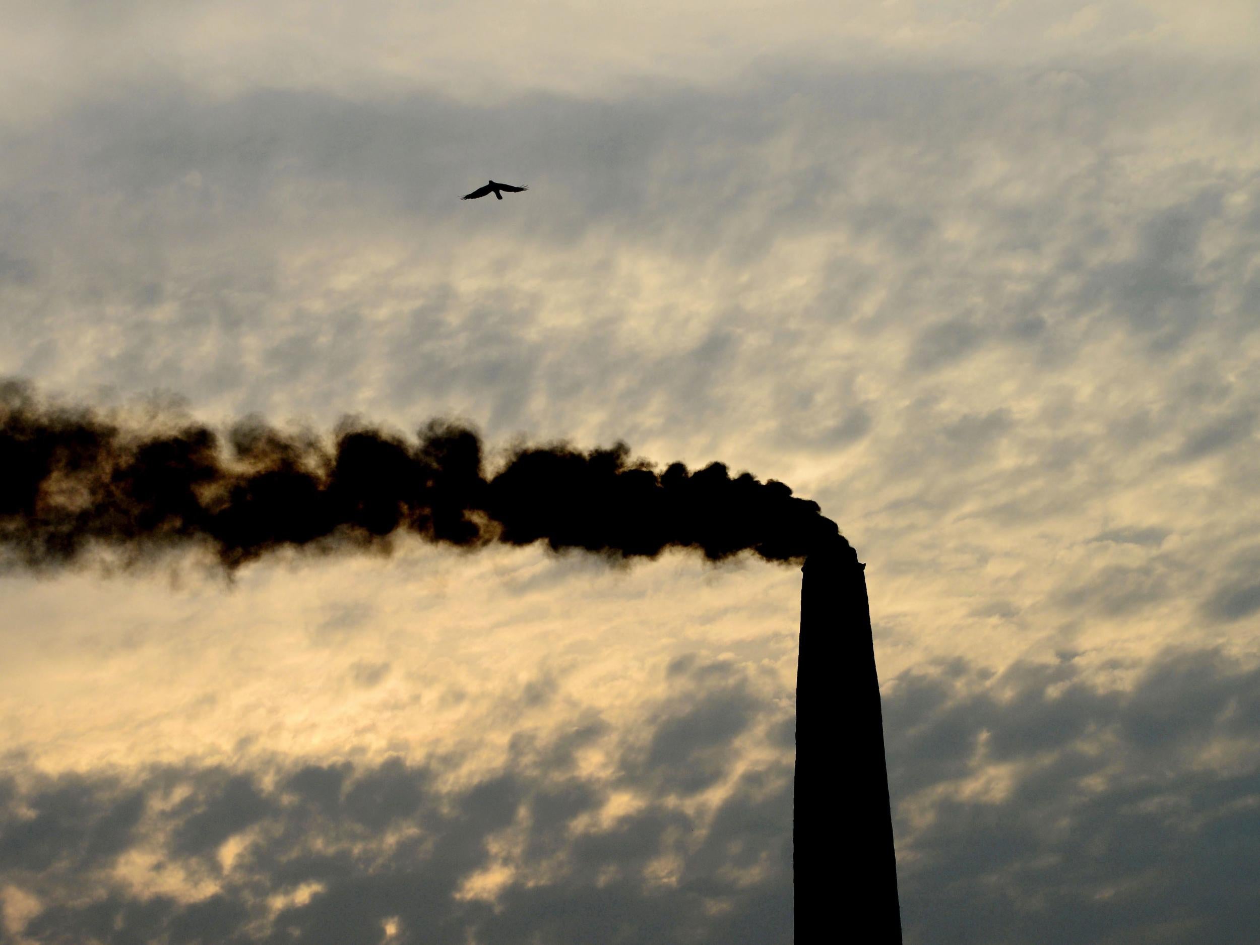 Cities in India and China have experienced severe smog in recent years, often as a result of the presence of fossil fuel-burning power plants