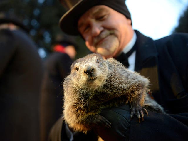 Peta suggests replacing a live groundhog for the annual Groundhog Day tradition with an AI robot.