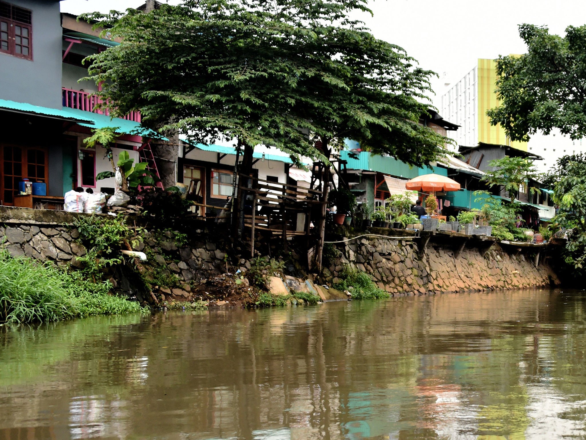 &#13;
Brightly coloured brick and wooden houses line a clean riverside path amid trees and vegetable gardens, a tranquil scene in the normally chaotic Indonesian capital Jakarta &#13;