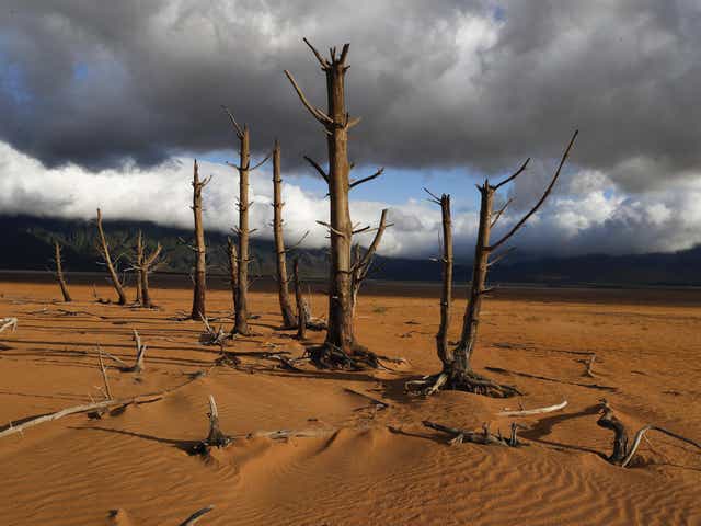 Theewaterskloof Dam in January: The city's single biggest dam is virtually following the third consecutive year of little rain
