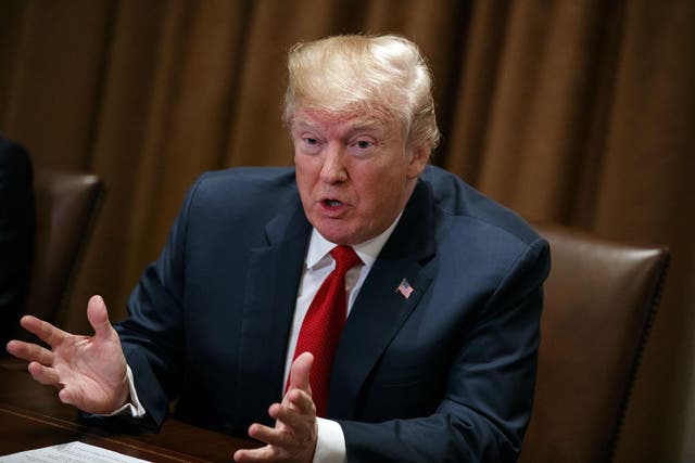 President Donald Trump has said he would love to see a government shutdown if his border demands are not met.
