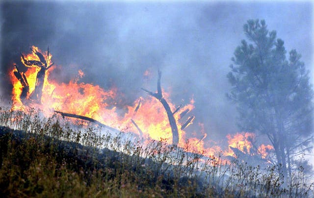 Wildfires blazing last year in Montana