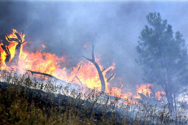 Wildfires blazing last year in Montana