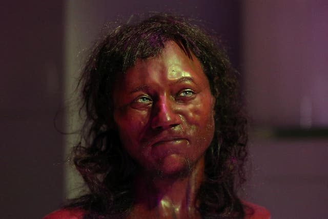 A full facial reconstruction model of Cheddar Man’s head, based on the skull of Britain’s oldest complete skeleton
