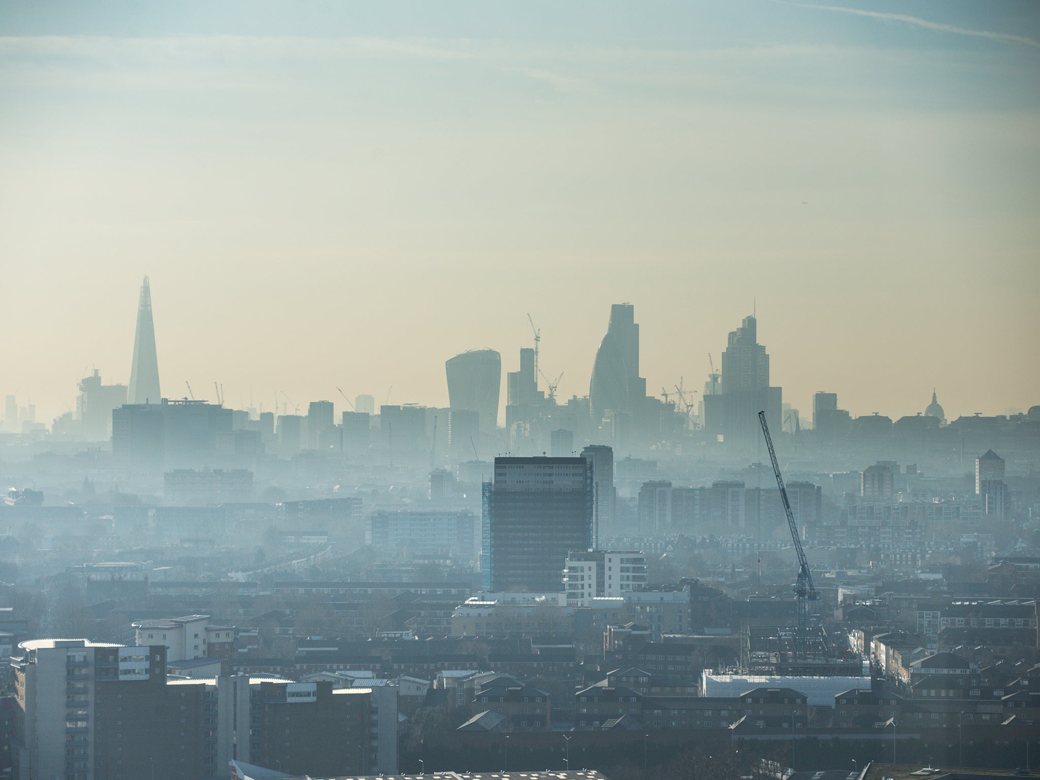 London children are exposed to harmful air pollution from cars that is decreasing their lung capacity by 5 per cent
