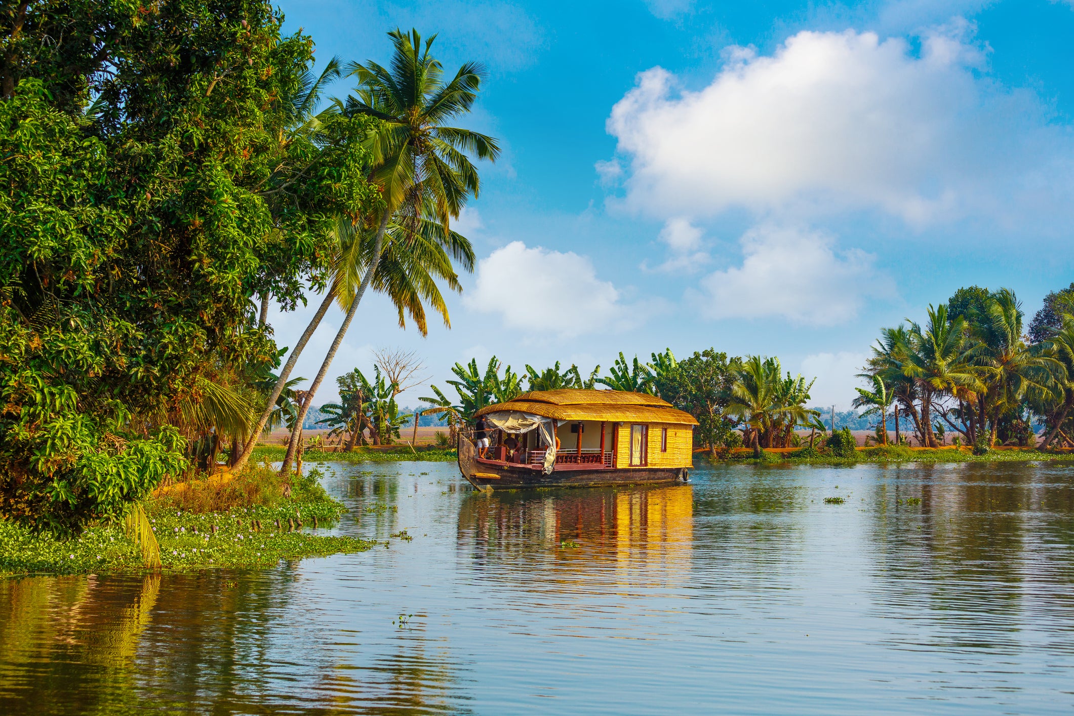 A houseboat on Kerala’s tranquil backwaters