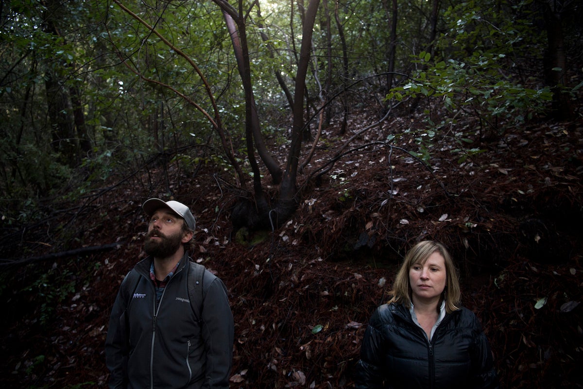 Richard Campbell, conservation science manager for Save the Redwoods League, and Emily Burns, director of science for the league, examine redwoods in Deadman Gulch