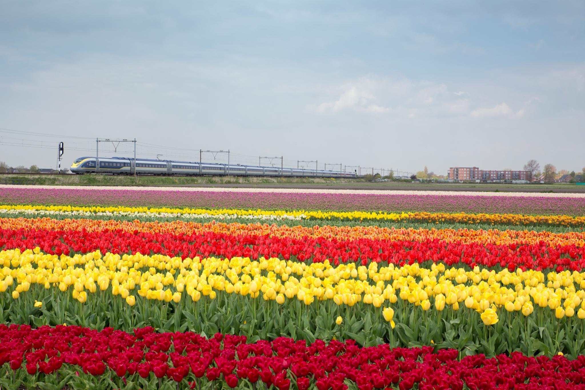 The new London-Amsterdam service will launch in April with two services per day