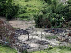 Myanmar forces and Buddhist villagers torched Rohingya homes