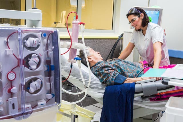 Millions of people worldwide rely on regular dialysis to perform the role of diseased or damaged kidneys which stem cell treatment could one day repair