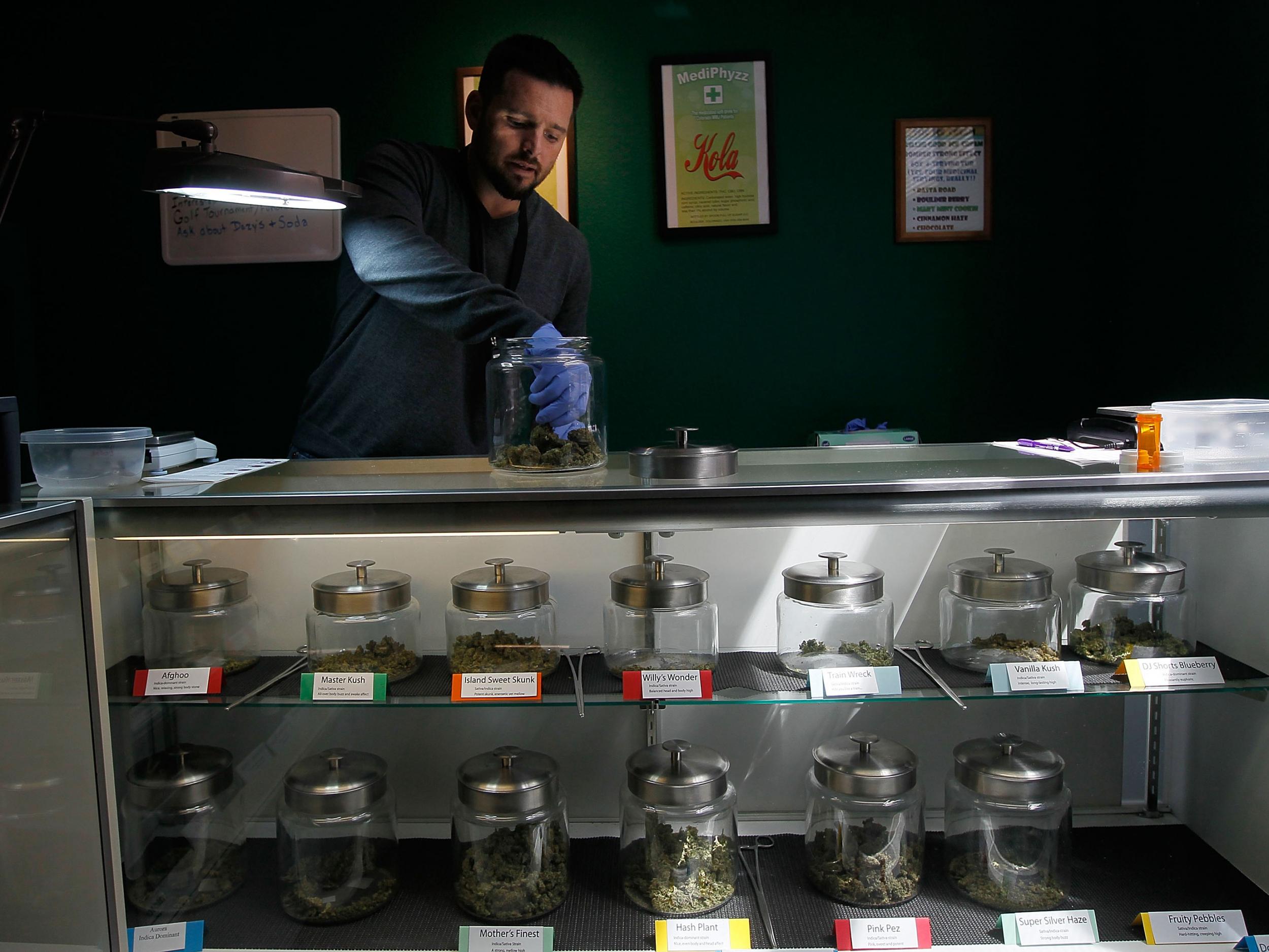 Drew Brown sorts marijuana at a legal dispensary in Fort Collins, Colorado