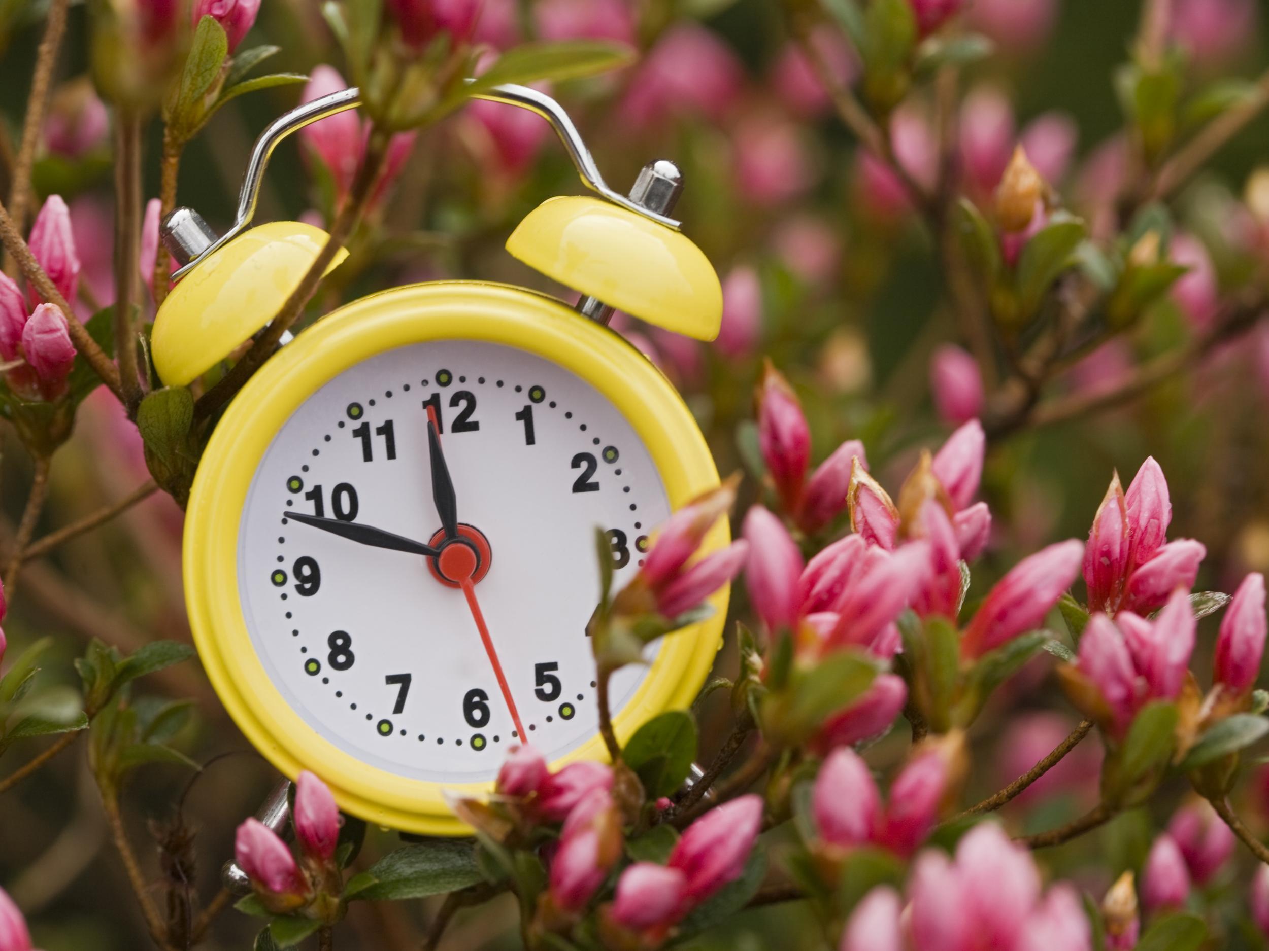A thing of the past: Finland has called for the end to the practice of changing the clocks every spring and autumn