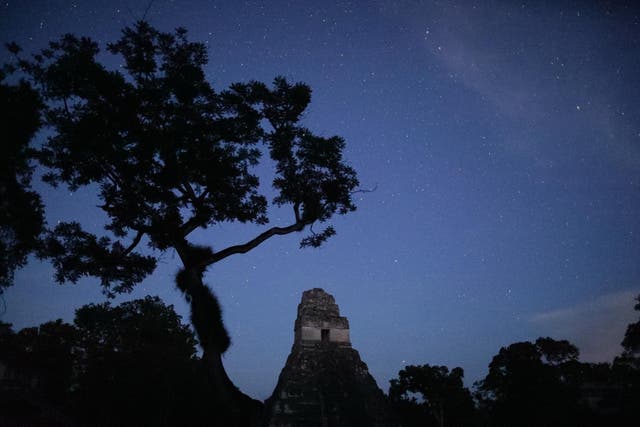 New dawn: LiDAR has been deployed to discover much more about the Maya people (Ali May/Wild Blue Media)