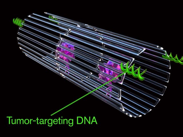 Nanobot made from folded DNA encases a blood clotting drug which is only released in the blood vessels feeding tumours