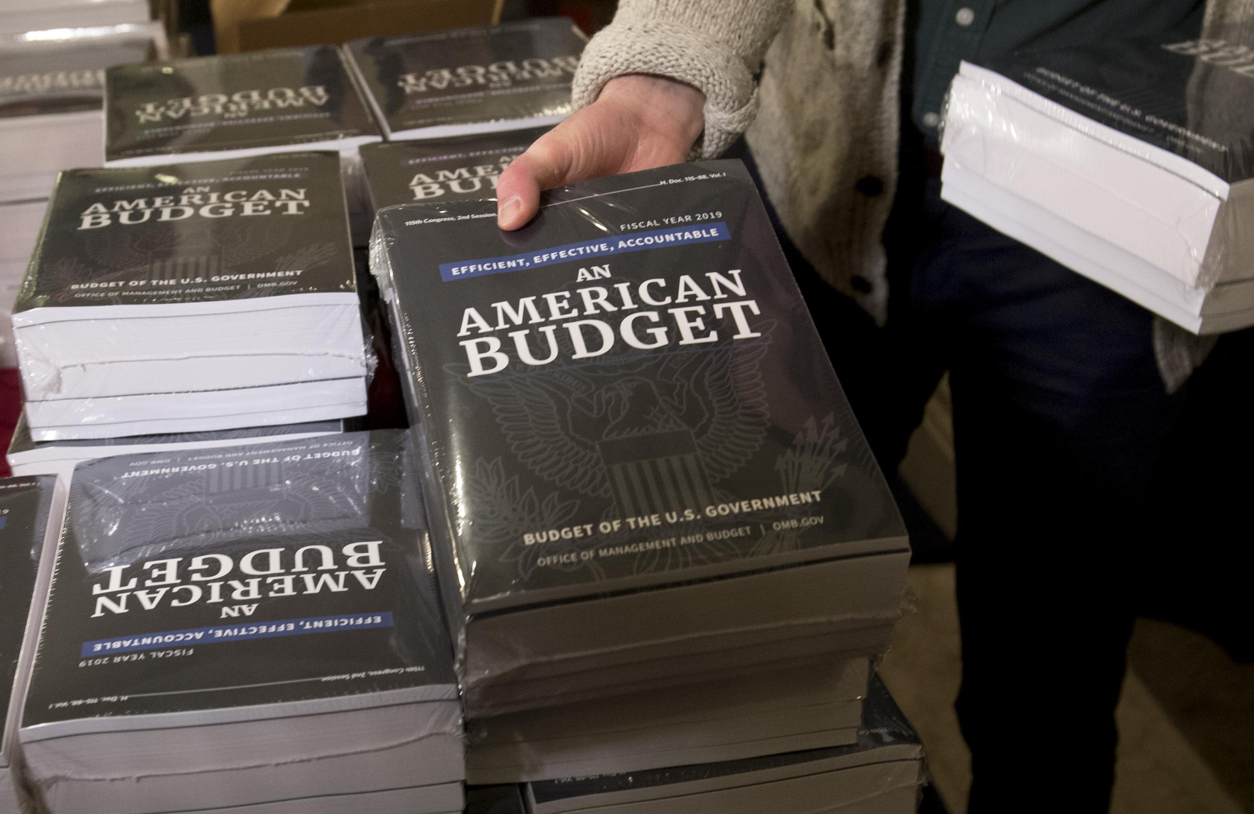 A Congressional staff member delivers copies of US President Donald Trump's Fiscal Year 2019 Government Budget.