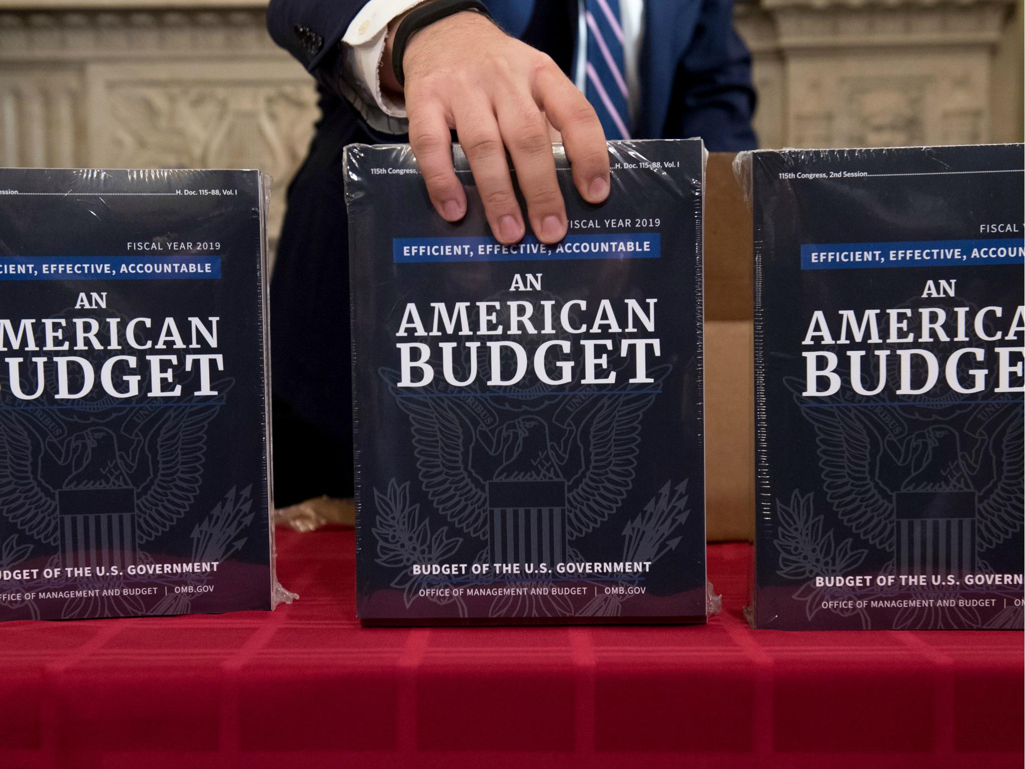 A Congressional staff member delivers copies of US President Donald Trump's Fiscal Year 2019 Government Budget