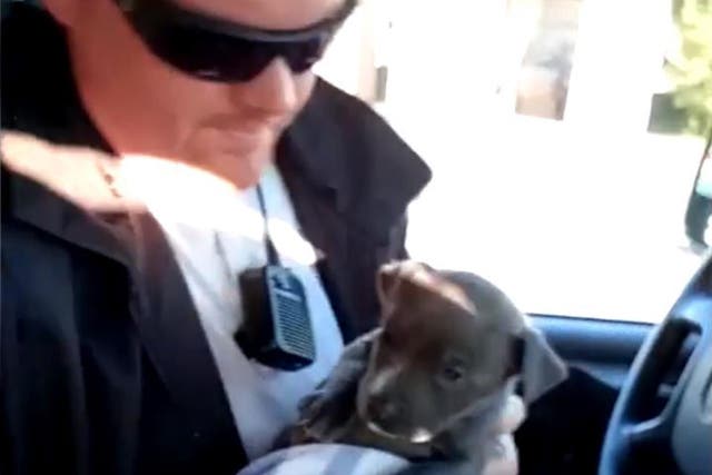 The puppy, named River, was adopted by a police officer after being rescued
