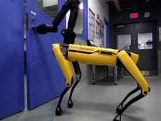 Boston Dynamics robot dog opens door for another robot with no arms