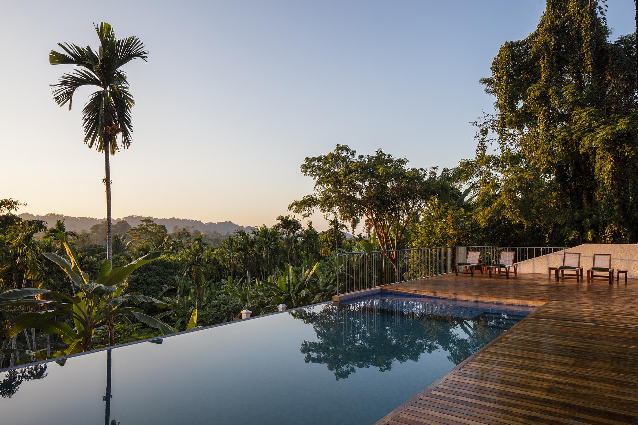 Idyllic jungle views by the infinity pool