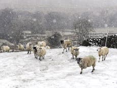 Rare ‘thundersnow’ and strong gales set to sweep the UK