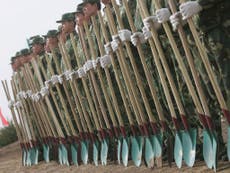 China reassigns 60,000 troops to plant trees in bid to fight pollution