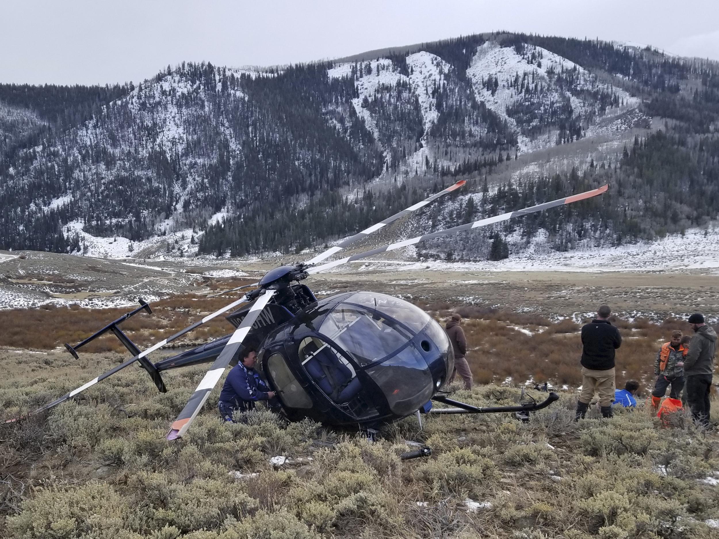 Leaping elk crashes research helicopter that was trying to capture it, The  Independent