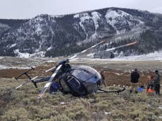 Leaping elk crashes research helicopter that was trying to capture it