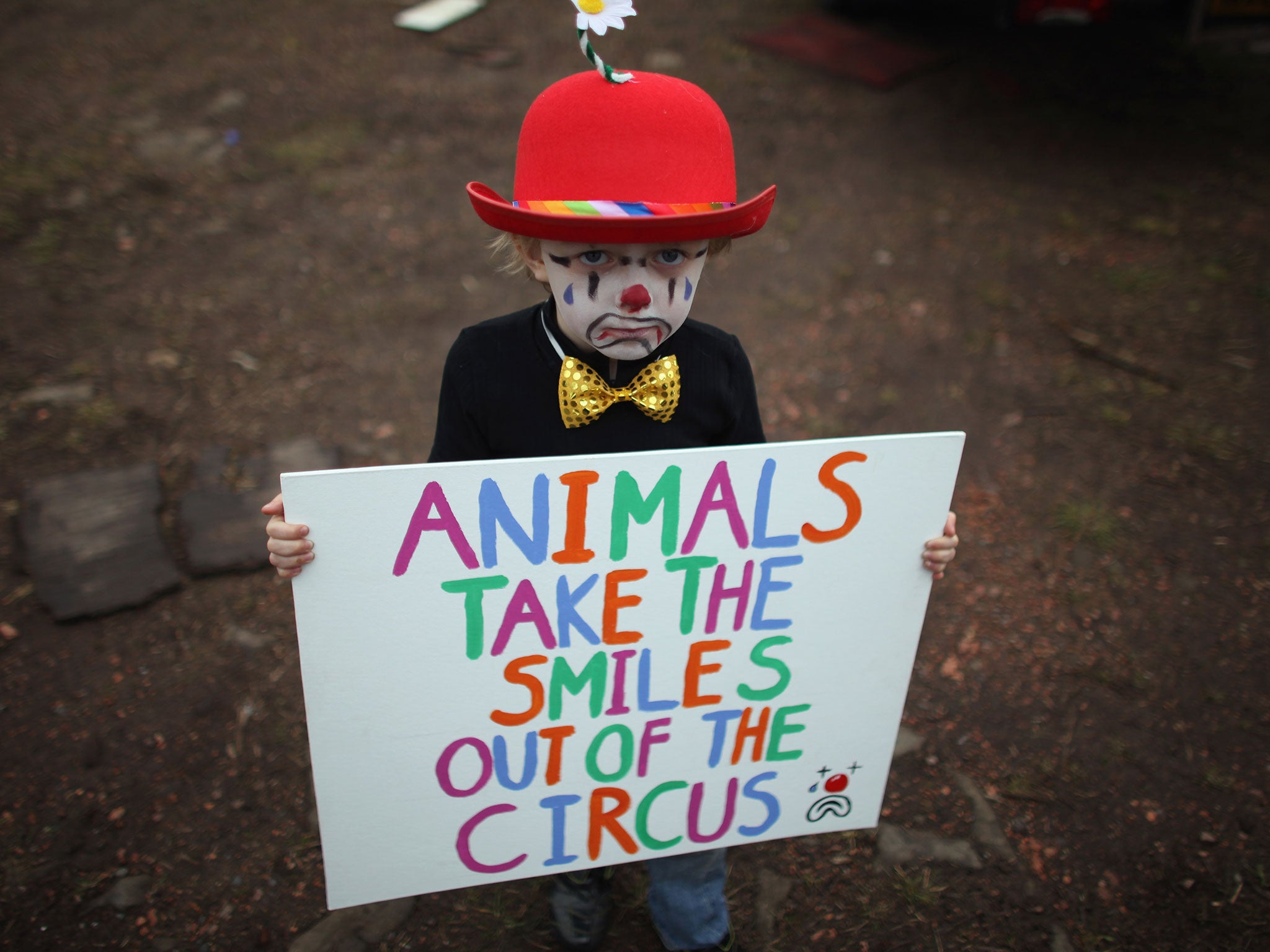 Wales considers banning use of wild animals in circuses to wipe out &apos;cruel practice&apos;