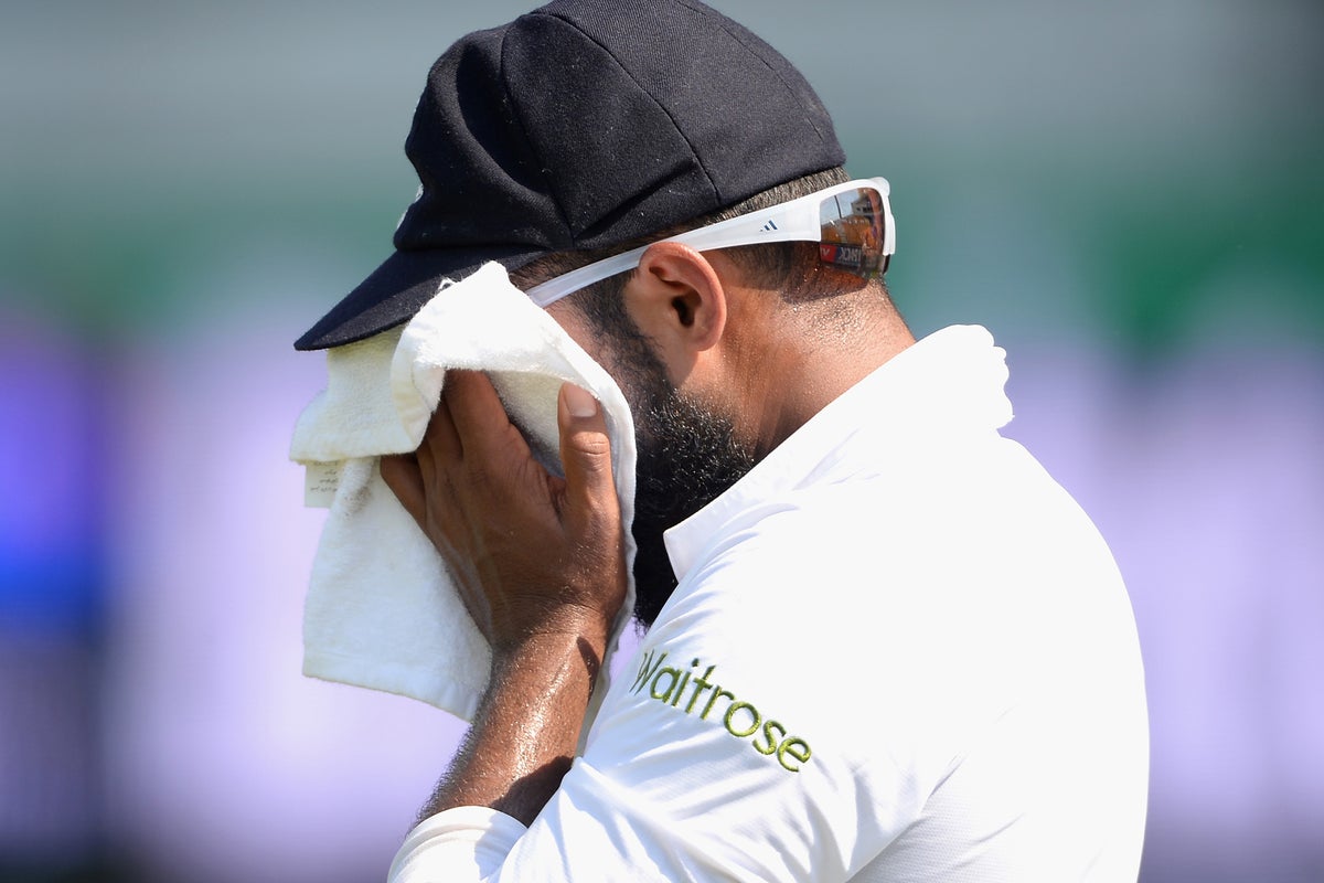 Adil Rashid should not be pilloried for walking away from first-class ...
