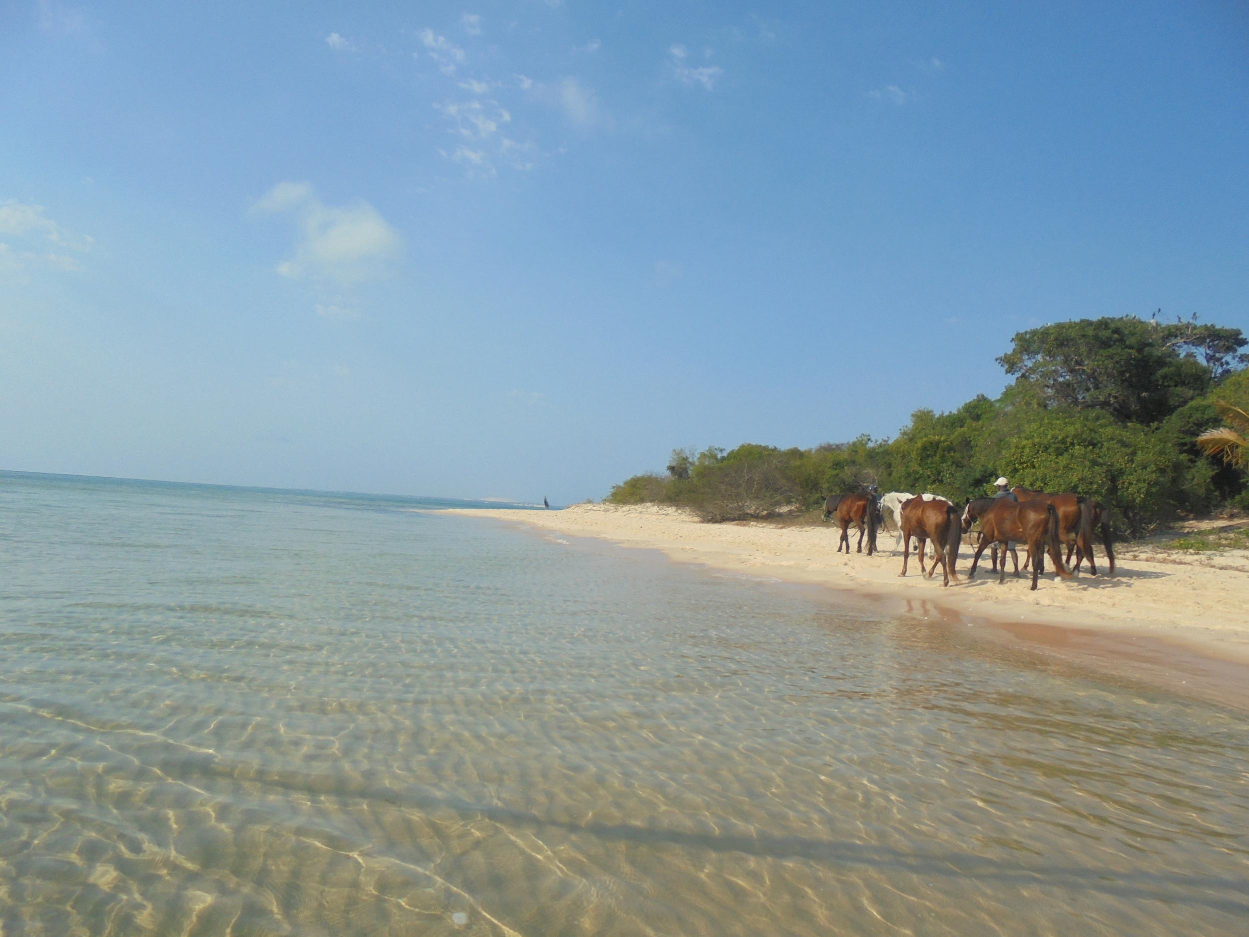 The Retzlaffs keep seven horses on Benguerra Island